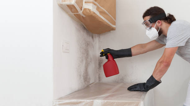 Professional Bathroom Mold Removal technician working in Bridgeport, IL
