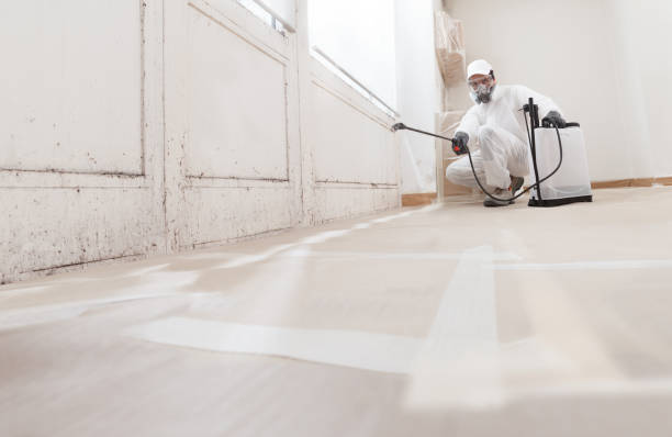 24/7 Emergency Bathroom Mold Removal experts in Bridgeport, IL