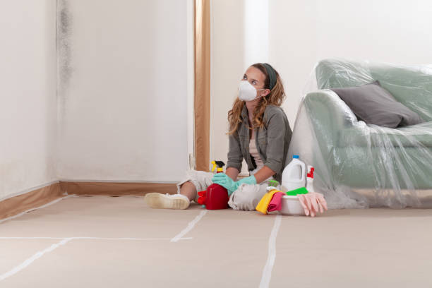 Reliable Bathroom Mold Removal contractor in Bridgeport, IL by WQB Mold Removal