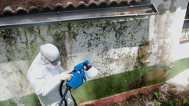 Top rated local Bathroom Mold Removal specialists in Bridgeport, IL